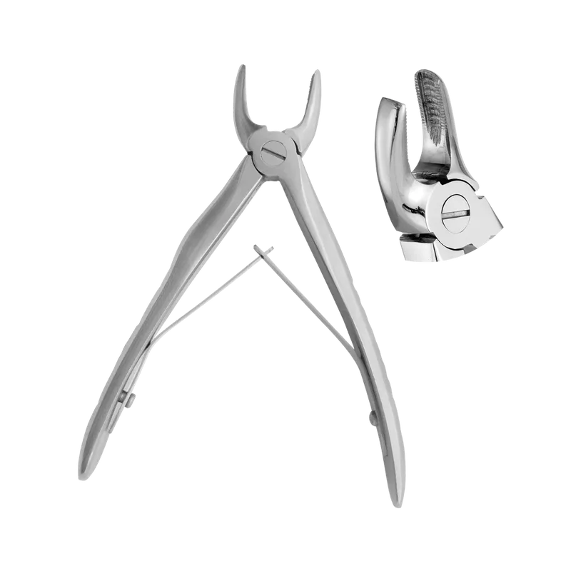 Klein Pediatric Upper Premolar Extracting Forceps 10cm - Equate Instruments