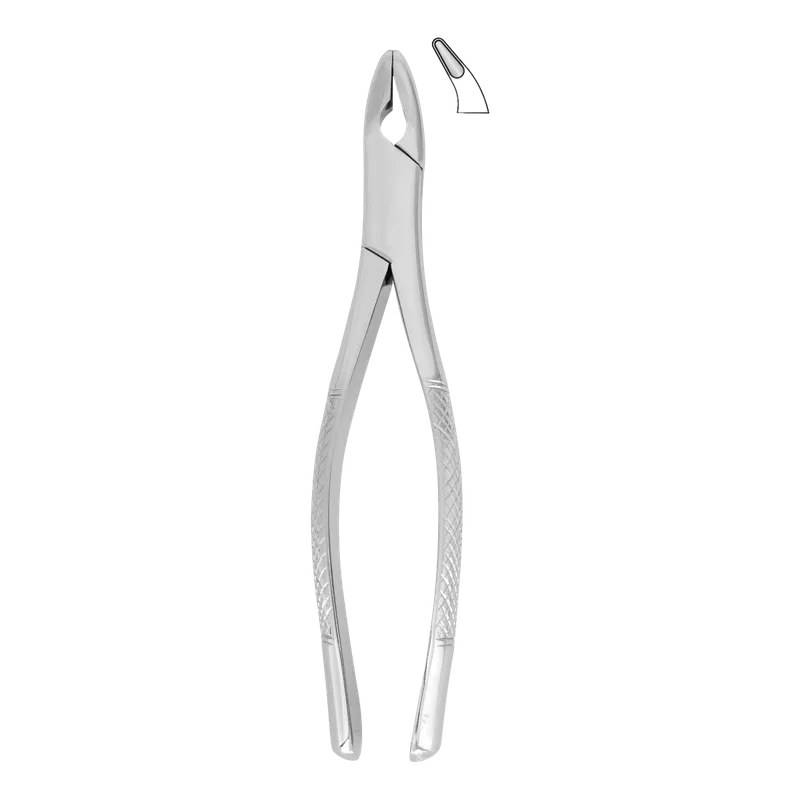 Extracting Forceps Fig.150A Upper Incisors, Premolars and Roots - American Pattern - Equate Instruments
