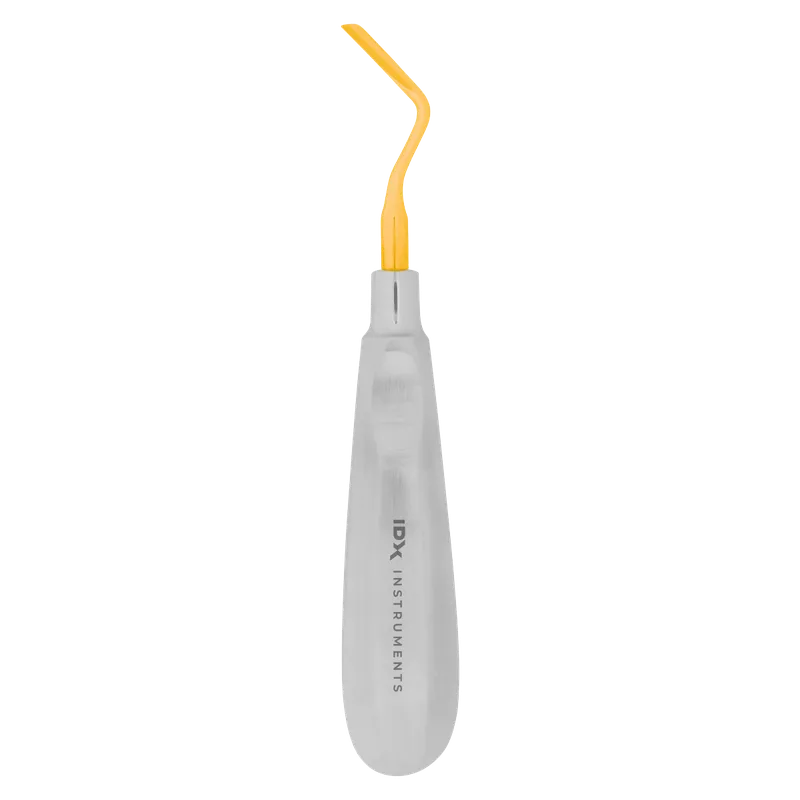 Extraction Elevator, Right Angled, 3.3 mm Gold-Coated Tip - Anatomical Stainless Handle - Equate Instruments