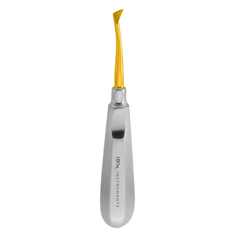 Cryer Elevator Fig.25 - Right, 8 mm, Gold-Coated Working End - Equate Instruments