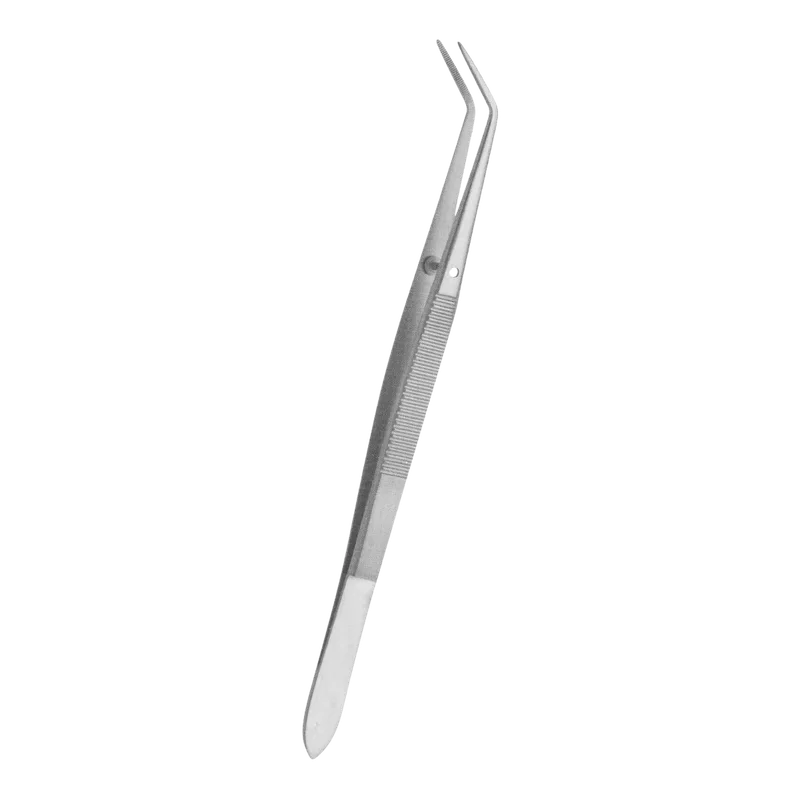Perry Non-Magnetic Dental Tweezers 13 cm - Equate Instruments