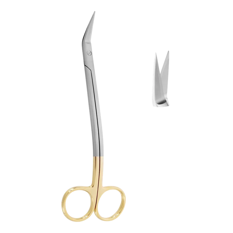 Dean TC Gum Scissors Double-Curved 17cm Gold - Equate Instruments
