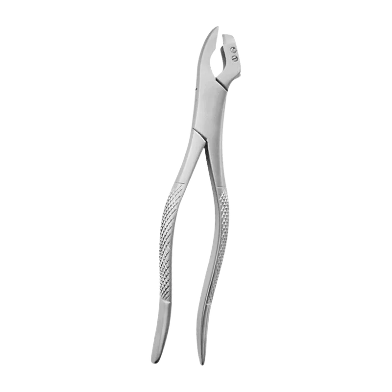 Crown Sitter, 18 cm - Equate Instruments