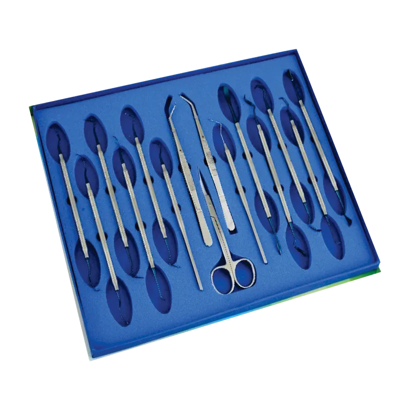 Periodontal Set of 12 - Blue Titanium Coated Working Ends - Equate Instruments