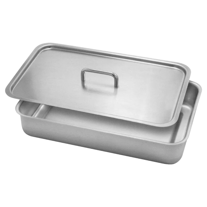 Stainless-Steel Instrument Tray With Lid - 20 x 30 x 5 cm - Equate Instruments