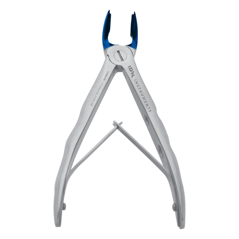 Lower Universal Pediatric Extraction Forceps - Blue - Equate Instruments