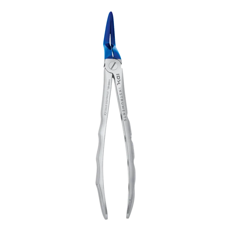 Lower Root Extraction Forceps (Adults) - Blue - Equate Instruments