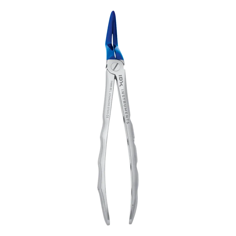 Upper Molar Extraction Forceps (Adults) - Blue - Equate Instruments